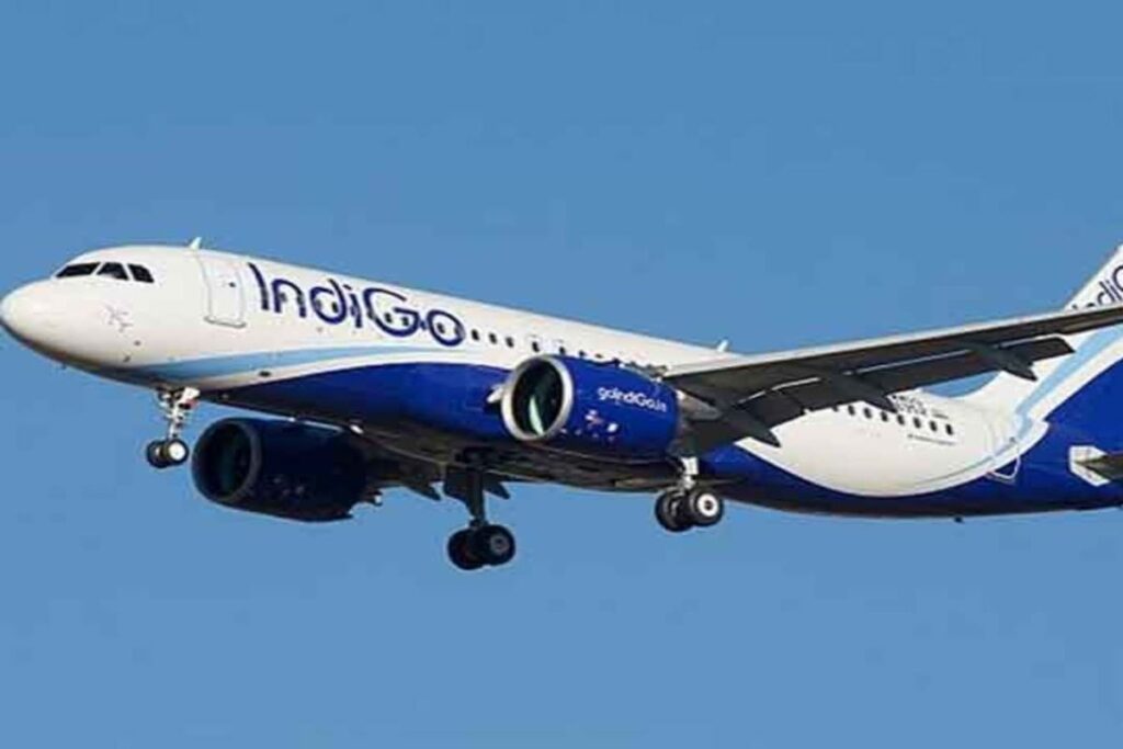 Indigo Flight