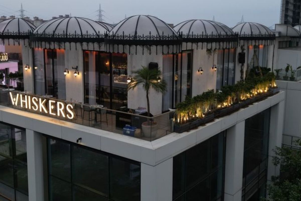 Whiskers, Gurgaon