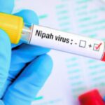 Nipah Virus Strikes Again Kerala on High Alert