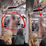 Naked Man Enters Ladies Compartment of Mumbai Local Train, Sparks Panic