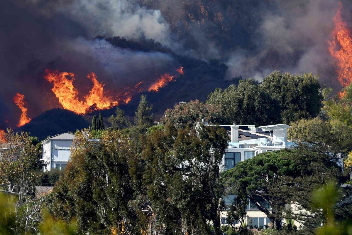 Los angeles fires