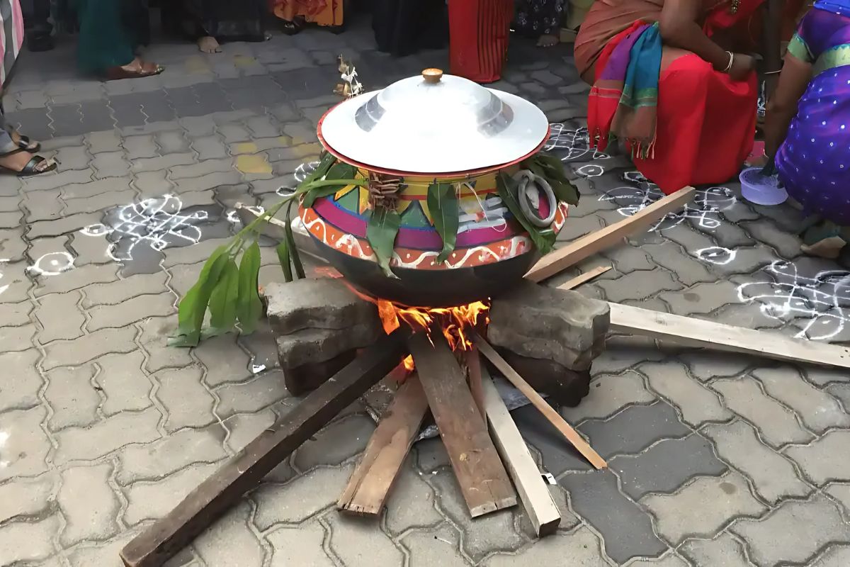 Surya Pongal