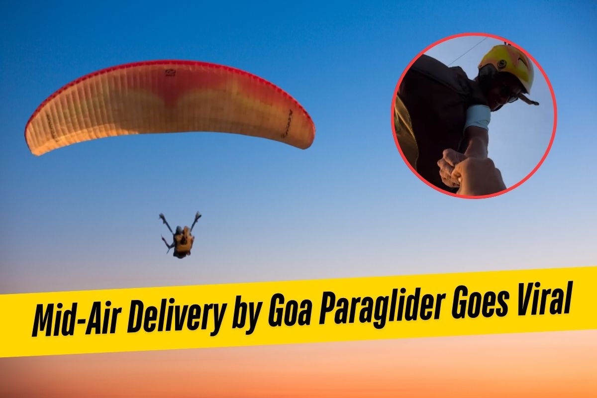 goa paraglider