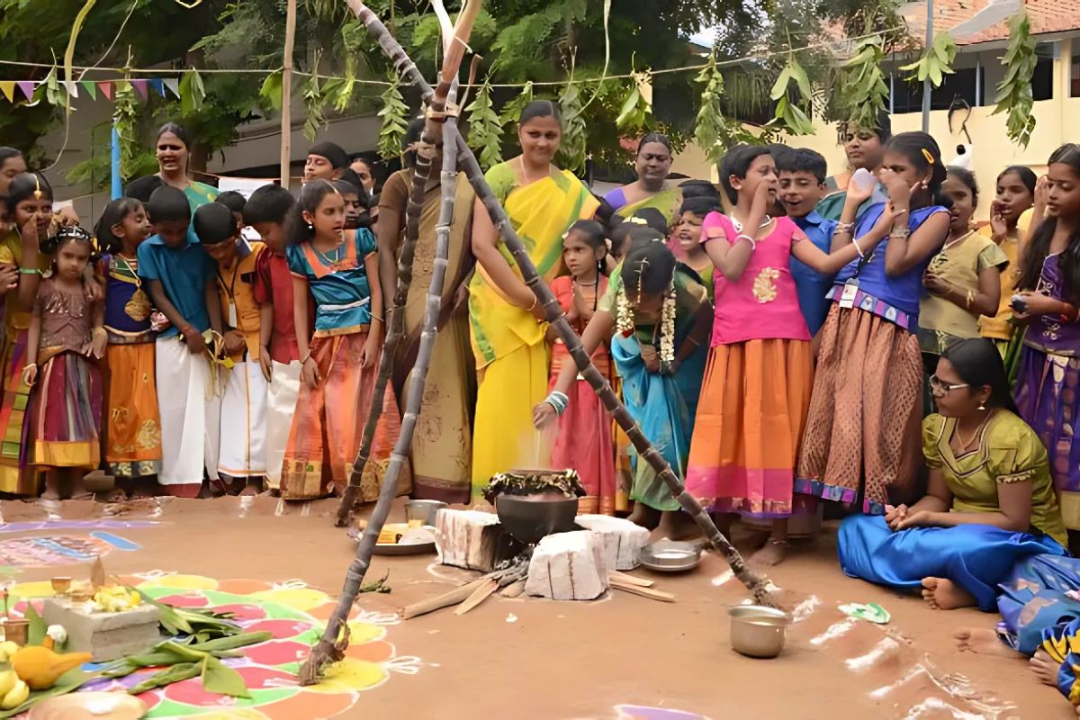 pongal celebration